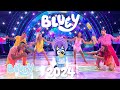 Bluey S 2024 A Look Back Bluey