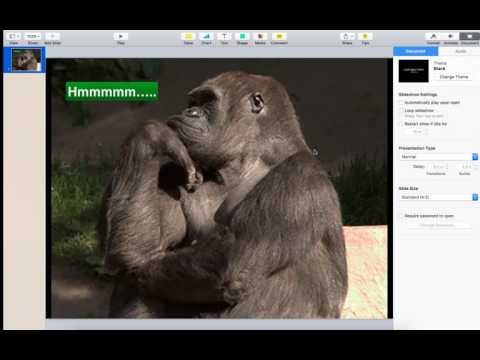 Python To Wordpress Conversion Wordpress Talk