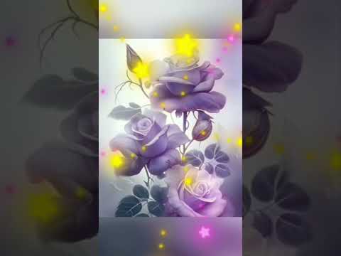 Mawal Arakha/ Walid Sarkis