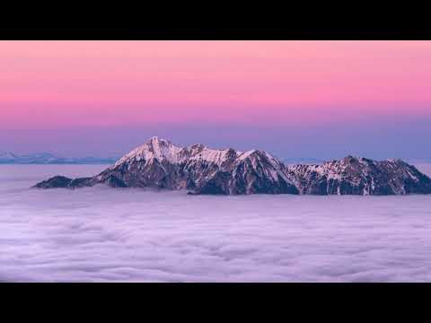 Outwild x She Is Jules - Golden