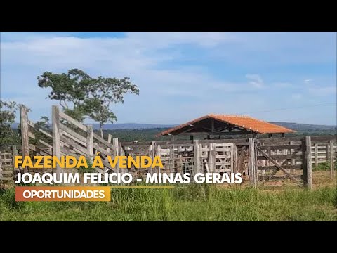 Fazenda á venda em Joaquim Felício - MG