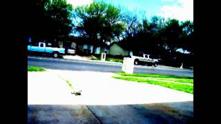 Two Hookers And An Eight Ball: Mindless Self Indulgence