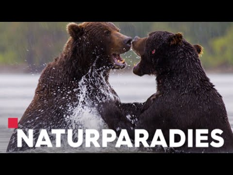 ZDF🔸Das Naturparadies Türkei | Doku | 2021