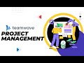 TeamWave Project Management: Full Tutorial