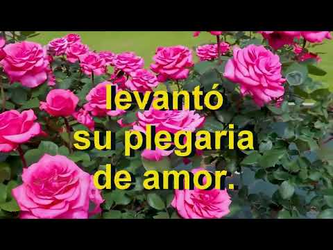 384 El jardín de oración