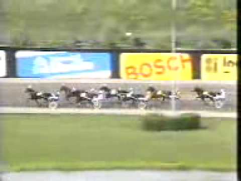Elitloppet 1989 -Napoletano