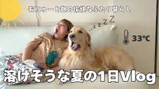 大型犬とふたり暮らしアラサー女の、真夏の昼夜大逆転Vlog