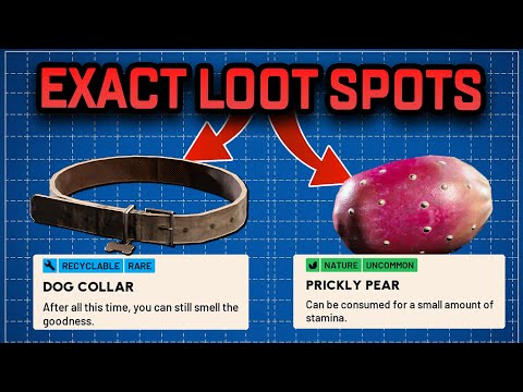 ARC RAIDERS Guide: EXACT Locations Of All Scrappy's Upgrade Materials