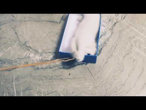 small vehicles for cat in your control