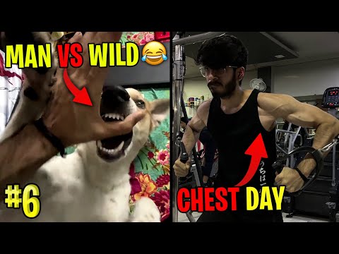 Viggy 🐶vs Me 😂 | Ao Chle GYM 💪 | Chest Exercises for Beginners | Day 1 at GYM | #vlog6