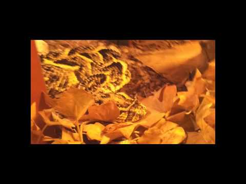 Visit w.v. 19-6-2011