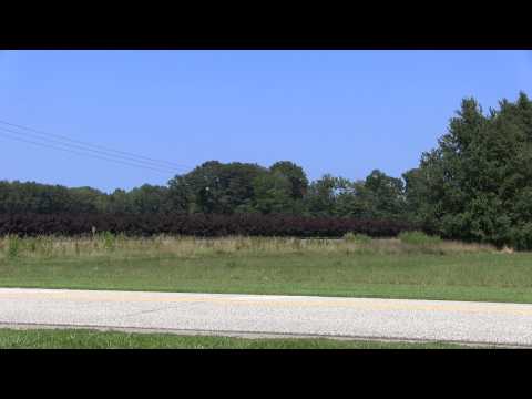 CSX Train P931 - Office Car Special