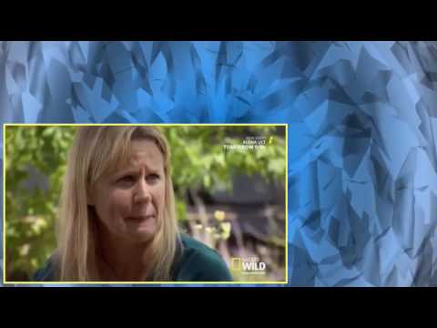 Cesar 911 S02E04 S O S HDTV x264 eSc