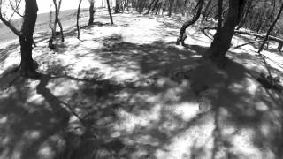 Paint Or Pollen - Blind Pilot (Cover) by Brent Magstadt