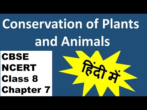 Conservation of Plants and Animals Class 8 NCERT Chapter 7 - Explanation and Solutions in easy Hindi Video
