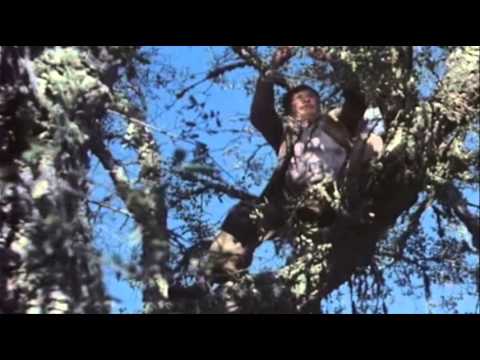 Los Santos Inocentes (1983) Mario Camus