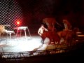 Circus 20