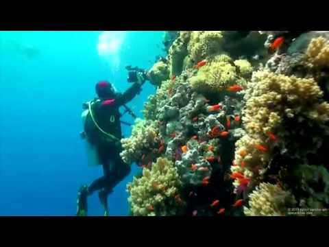 RuteQ - Nadpozytywna energia (prod. papkin.)