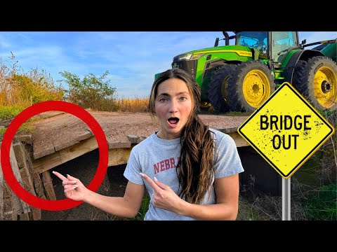 Jembatan RUNTUH di Peternakan