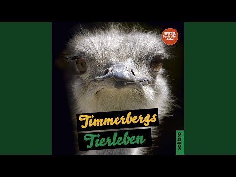Kapitel 1 - Timmerbergs Tierleben