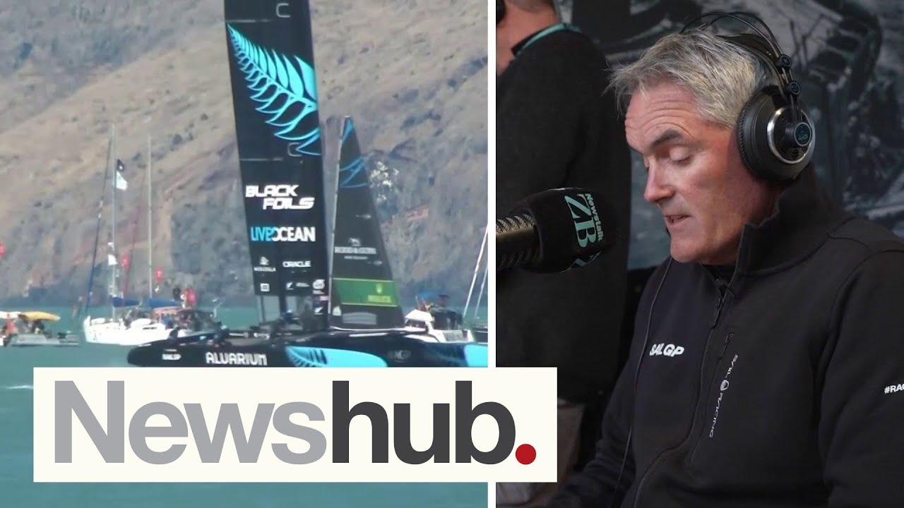 Unexpected Challengers How Dolphins Became the Stars of SailGP New Zealand! Page Traveler