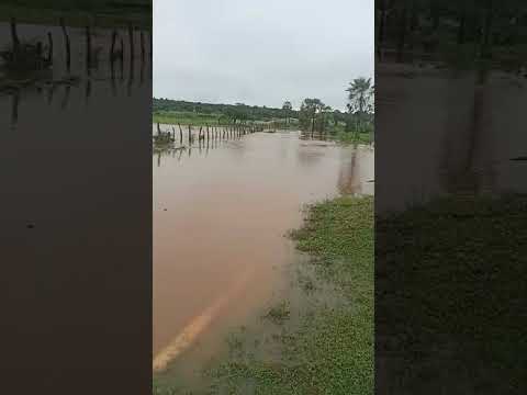 riacho de floresta do Piauí