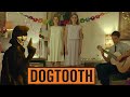 Dogtooth Film Review