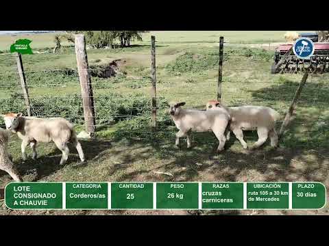 Video del lote L0-000852