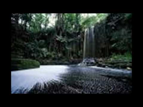 ALKALINE MONIE LOBIE   TONNY