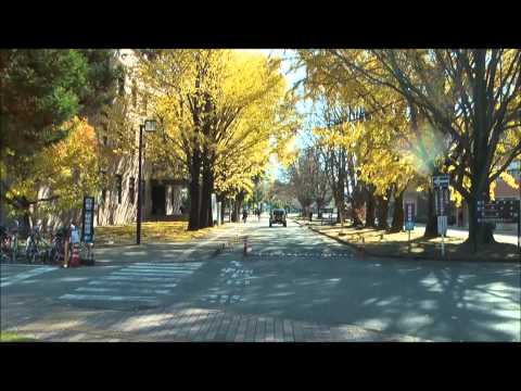 キャンパス疑似体験♪宇都宮大学秋の峰キャンパス風景