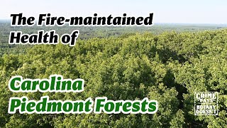 The Fire-maintained Health of Carolina Piedmont Forests