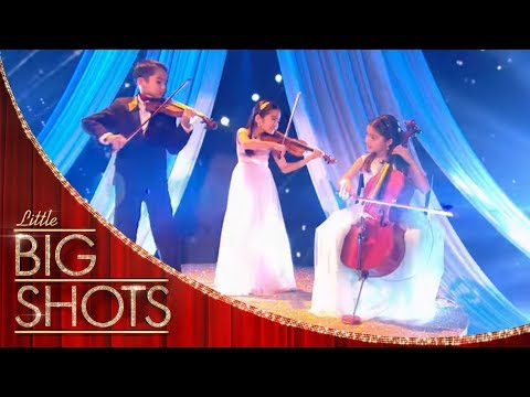 Little Stars String Trio Flawless Performance | Little Big Shots