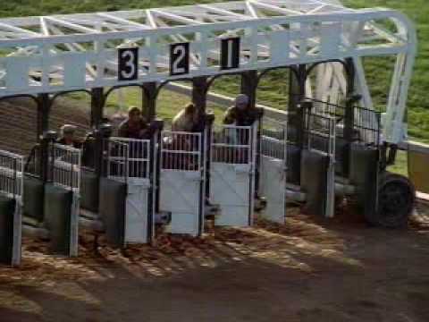 Trailer - The Black Stallion [MgM] - (IgorFilmesTrailers)