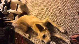 Old habits never die