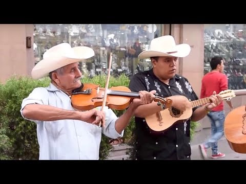 Trío Tordo Huasteco toca El Querreque en La Calle del Huapango en SLP