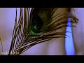 Tere Nam Video