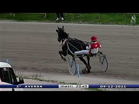 Aversa trotto 4 Dicembre 2021 - 2° Corsa