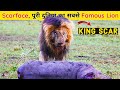 The Rise & Fall of Word's Most Famous Lion King Scarface, दुनिया के सबसे Famous Lion की क