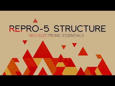 RePro 5 Structure Walkthrough