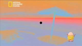 Brain Games - Colour illusion