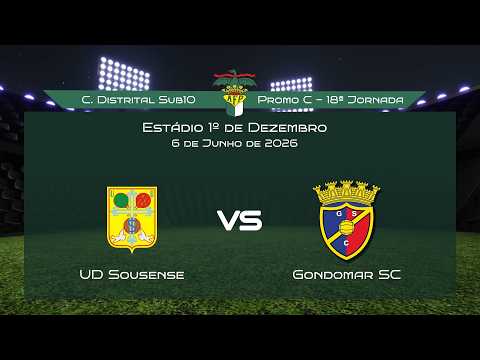 AFPorto Sub10 - Promoção C - 18ª Jornada - UD S...