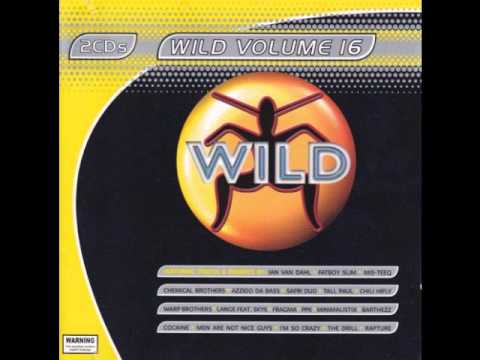 WILD FM VOLUME 16 - WILD VOLUME 16 MEGAMIX (BLIZZARD BROTHERS) (WILD NIGHTS)