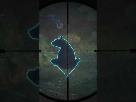 ZARZA-10 .308 Black Bear 🐻 Shot, Thehunter call of the wild #hunting