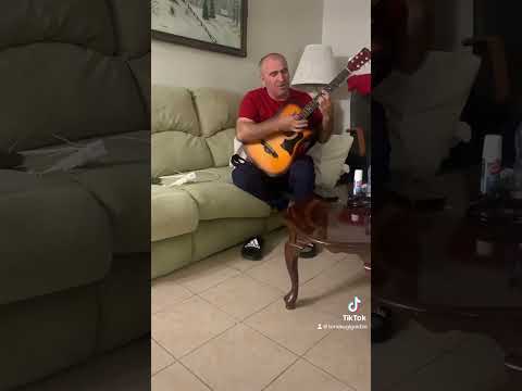 სულთან ბორჩაშვილი ქისტი ძმა (ქართველი) ხელაშვილის ხსოვნას!!! 16/10/2023 USA