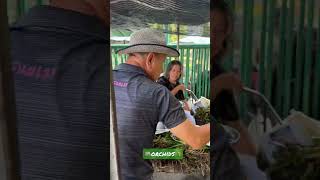 🎋Orchids🌾 i think thats wild orchids from the rainforests. I dont know? #orchids #orchid #plantmar