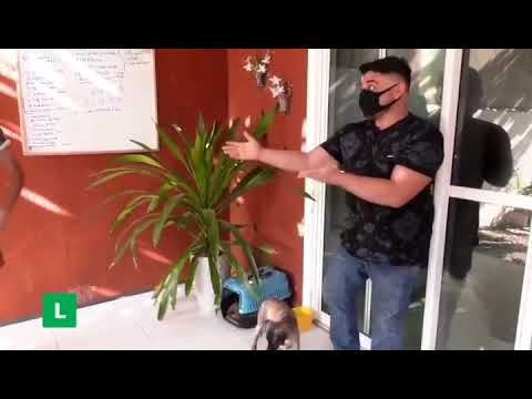 Programa Se liga com Bruno luz