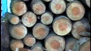 Legendary Pink Dots - Nine lives to Wonder HD