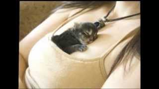 Habibi Twist_A Franco Arab Song By Misso D'Egitto (Vocal Version)