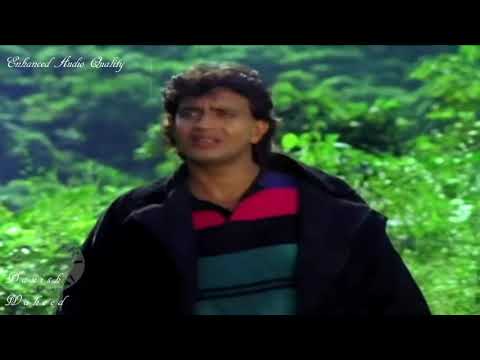 Zindagi Pyar Ka Ek Naya Geet | Meri Zubaan | M. Aziz | Anuradha Paudwal | By Danish™|