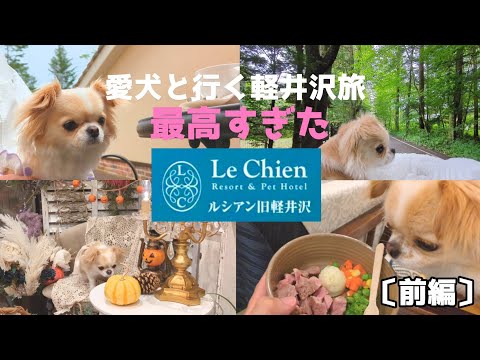 YouTube動画を再生